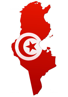 Conférence : « Tunisie cinq ans après la révolution : les chemins sinueux de la démocratisation » - 16/04/2016